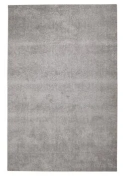 Tapis VILLEPLE 130x193 Gris