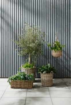 Panier SANSEBIE Ø40/50 2pcs/lot -Magasin De Meubles 149781