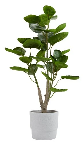 Plante Artificielle ARVID H70cm Vert 2 Plante Artificielle ARVID H70cm Vert – Image 2
