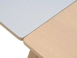 Table EGEBJERG 160/250 Gris Clair -Magasin De Meubles 185691