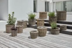 Panier RINGTROST Ø32/37 2pcs/lot -Magasin De Meubles 202080 1