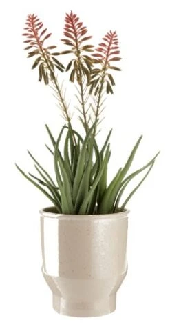 Plante Artificielle RASMUS H45cm A/fleurs -Magasin De Meubles 205022
